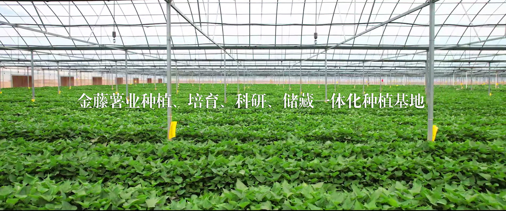 聯系我們